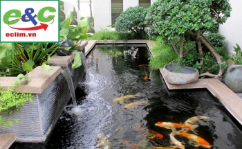 Hệ thống lọc nước cho hồ nuôi cá Koi