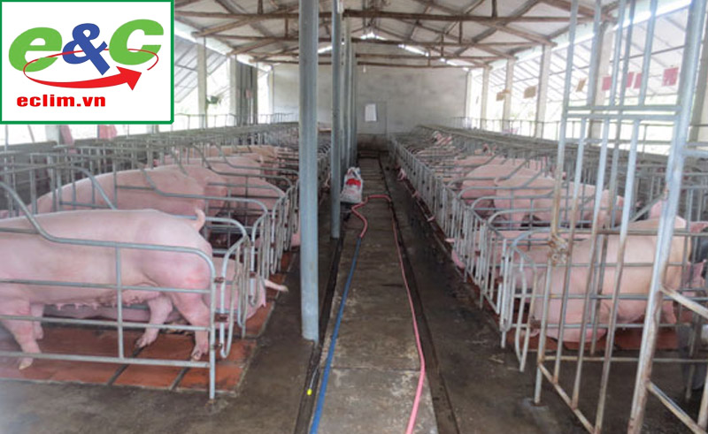 Pig farming wastewater treatment system
