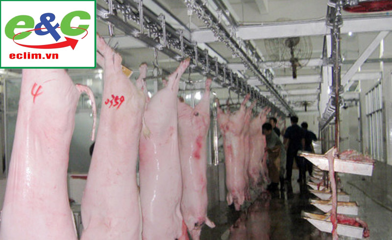 Wastewater treatment of cattle and pig slaughterhouses