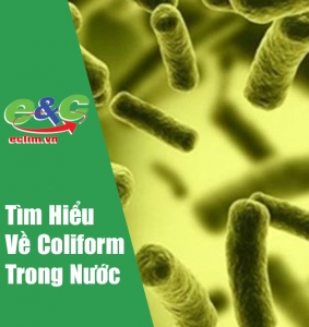 Coliform là gì? Cách xử lý nguồn nước nhiễm coliform trong sinh hoạt hằng ngày