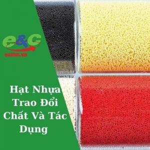 Hạt Nhựa Trao Đổi Chất Và Tác Dụng