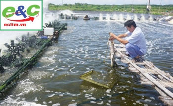 Công nghệ xử lý nước thải nước Ao nuôi tôm, nuôi cá, thủy sản
