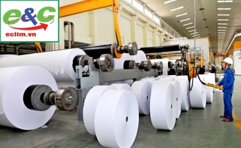 Công nghệ xử lý nước thải trong ngành sản xuất giấy 
