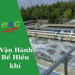 Vận hành Bể hiếu khí