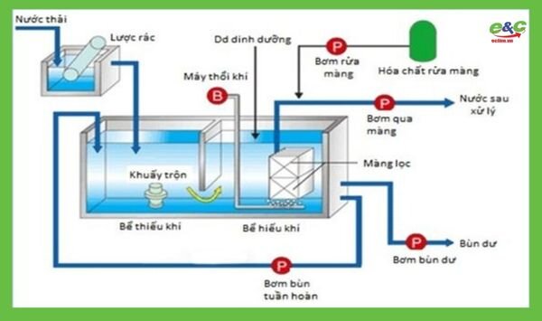 Hệ Thống Nước Thải Bệnh Viện