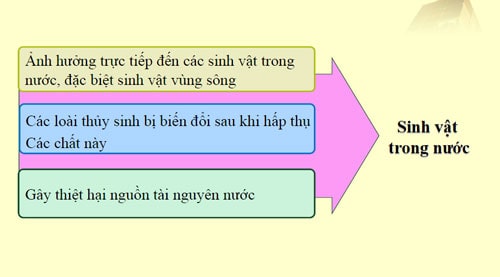 sinh-vat-trong-nuoc