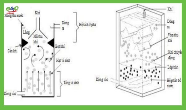 cấu tạo bể uasb